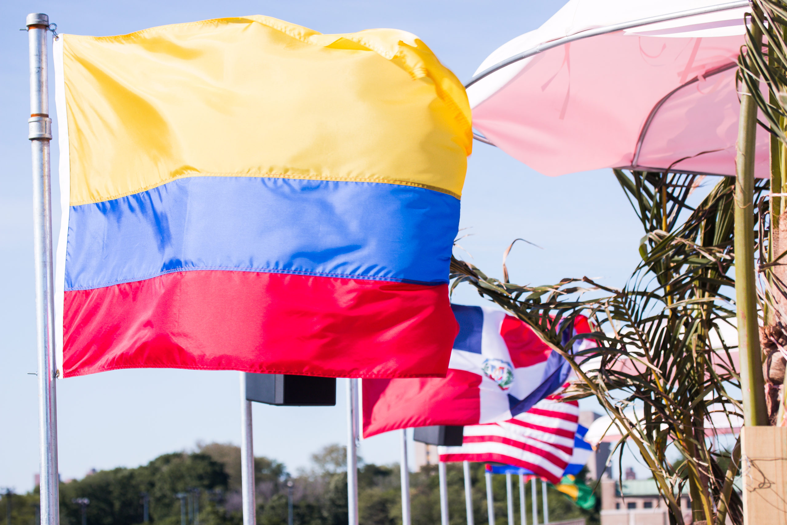 ZONA DE CUBA FOOD 3-3